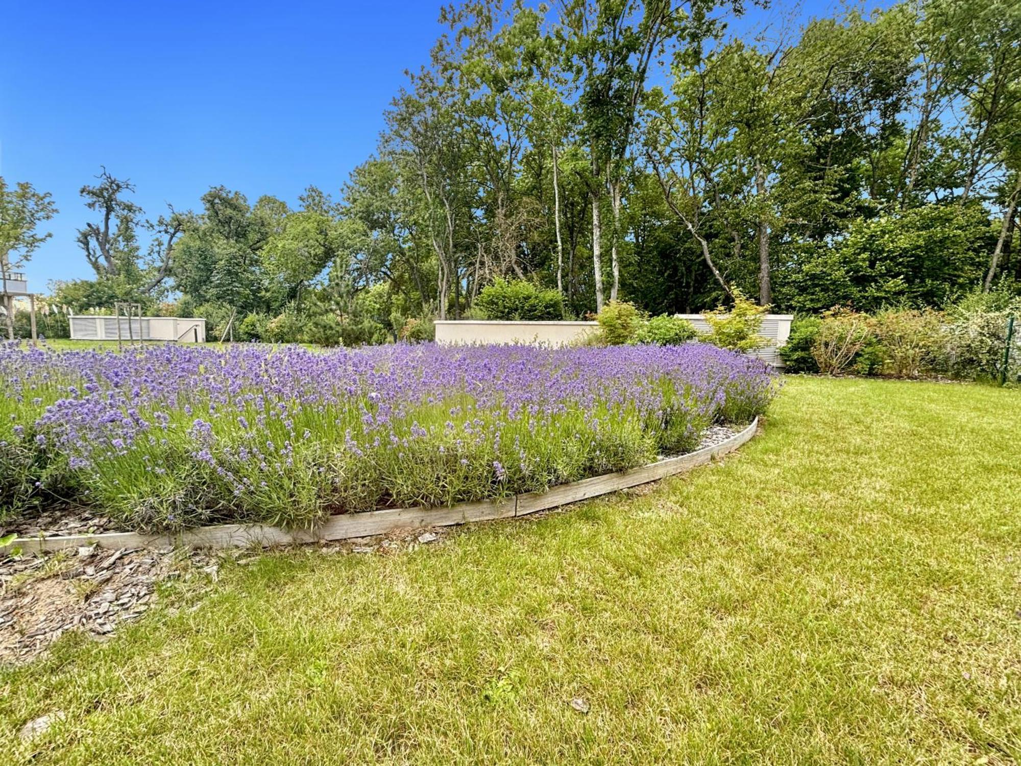 Sunny Suite Disneyland Paris - Rentaway Bnb Montévrain Eksteriør billede